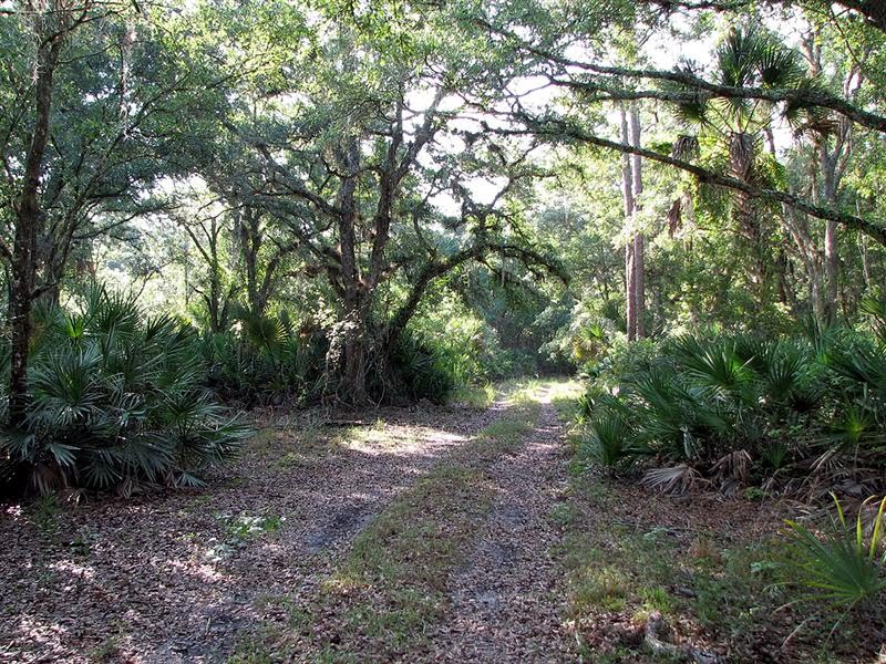 [2007_0623_084637-Resized+(Medium).jpg]