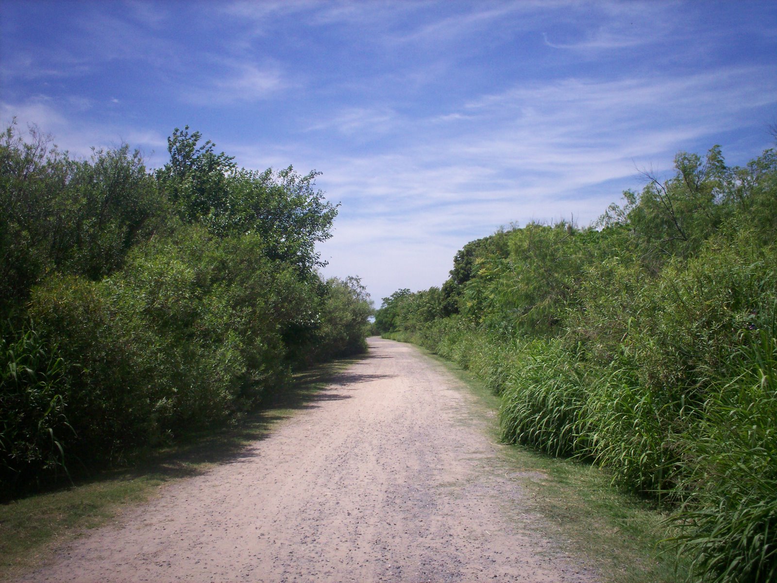 [100_0081.JPG]