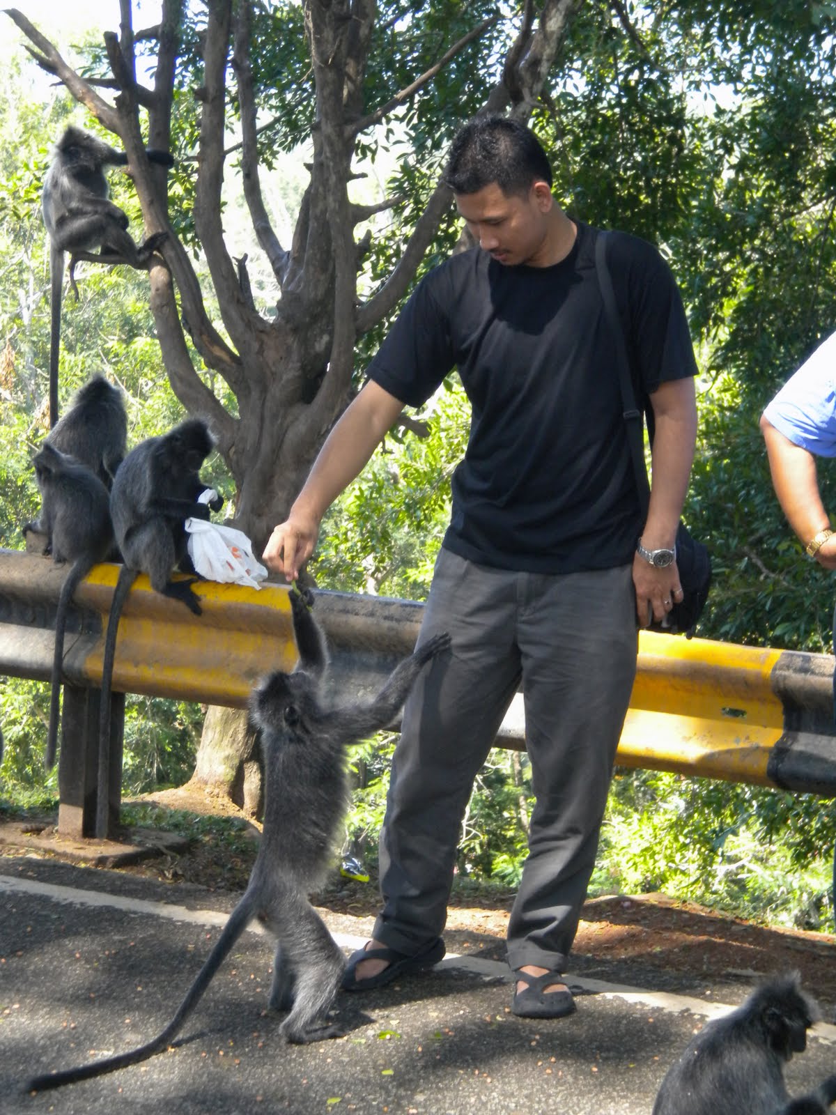 [DSCN0432.JPG]