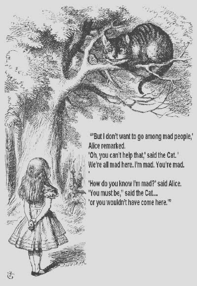 [1book22.jpg]