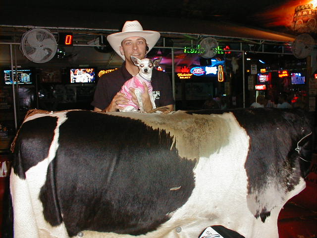 [Cowboy+Bills+Sexy+Bull+Riding+28+May+08+111.jpg]