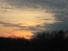 Sumner County Sunset