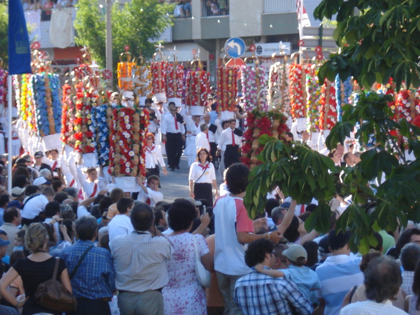 [DSC00955.JPG]