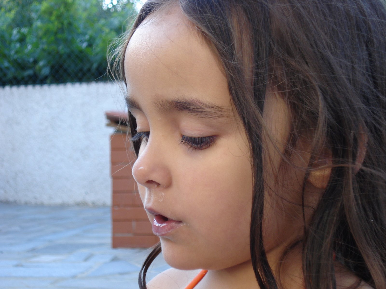 [DSC00890.JPG]