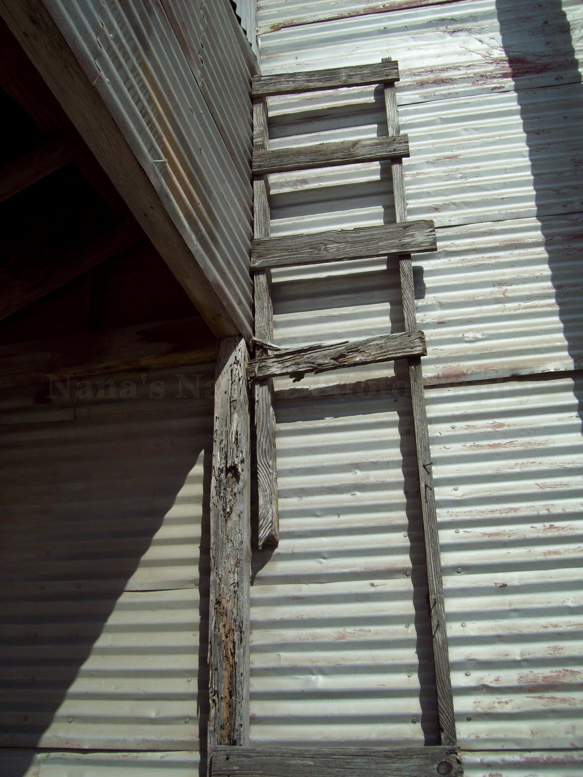 Nana's Nature Photography Broken Ladder