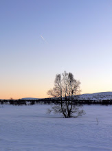 Lav sol og høy himmel