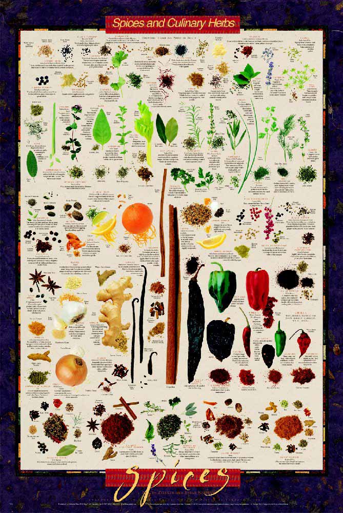 [SPICES.jpg]
