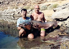 [Tiktaalik+moderno7+++modules.php.jpg]