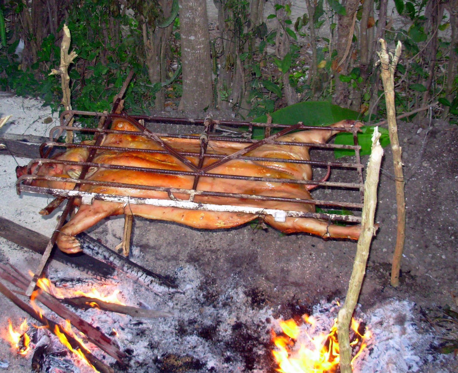 The Cuban Triangle How to roast a pig
