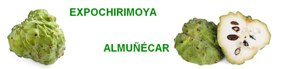 Expochirimoya