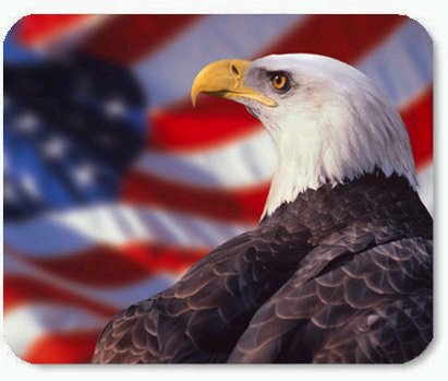 [eagleflag.bmp]