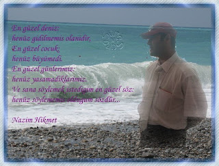 Saras Moondream 2008