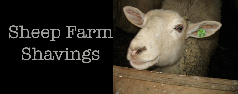 Sheep Farm Shavings