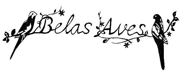 BELAS AVES PSITACIDEOS