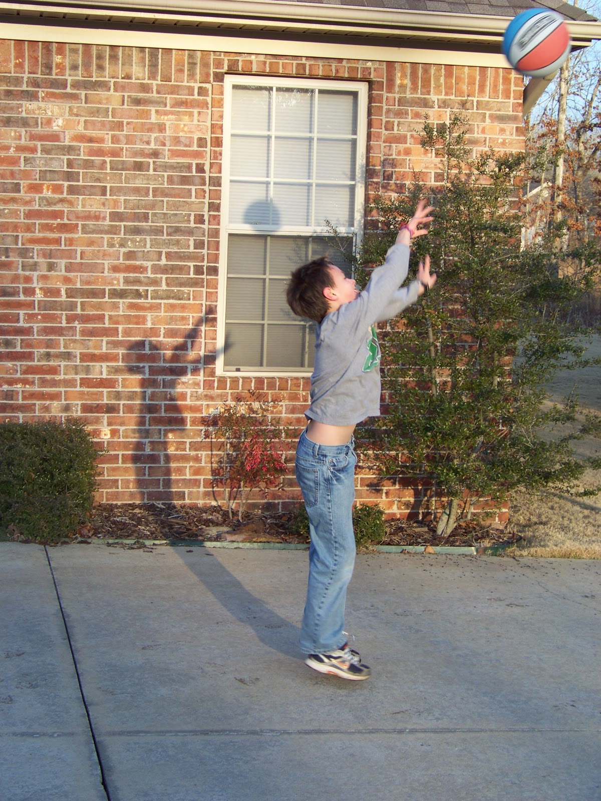 Bible Dictionary for Kids