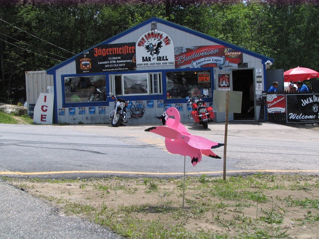 Leonardo's Migratings Bike Week, Laconia, NH June 1620, 2010