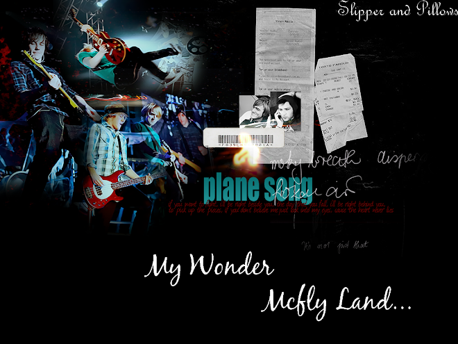 My Wonder McFLY Land