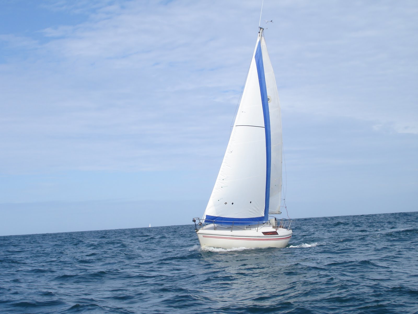 [DSC03960.JPG]