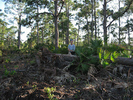 Pine Island Flatwoods Preserve