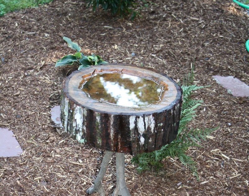 Go Rustic! Wooden Bird Bath