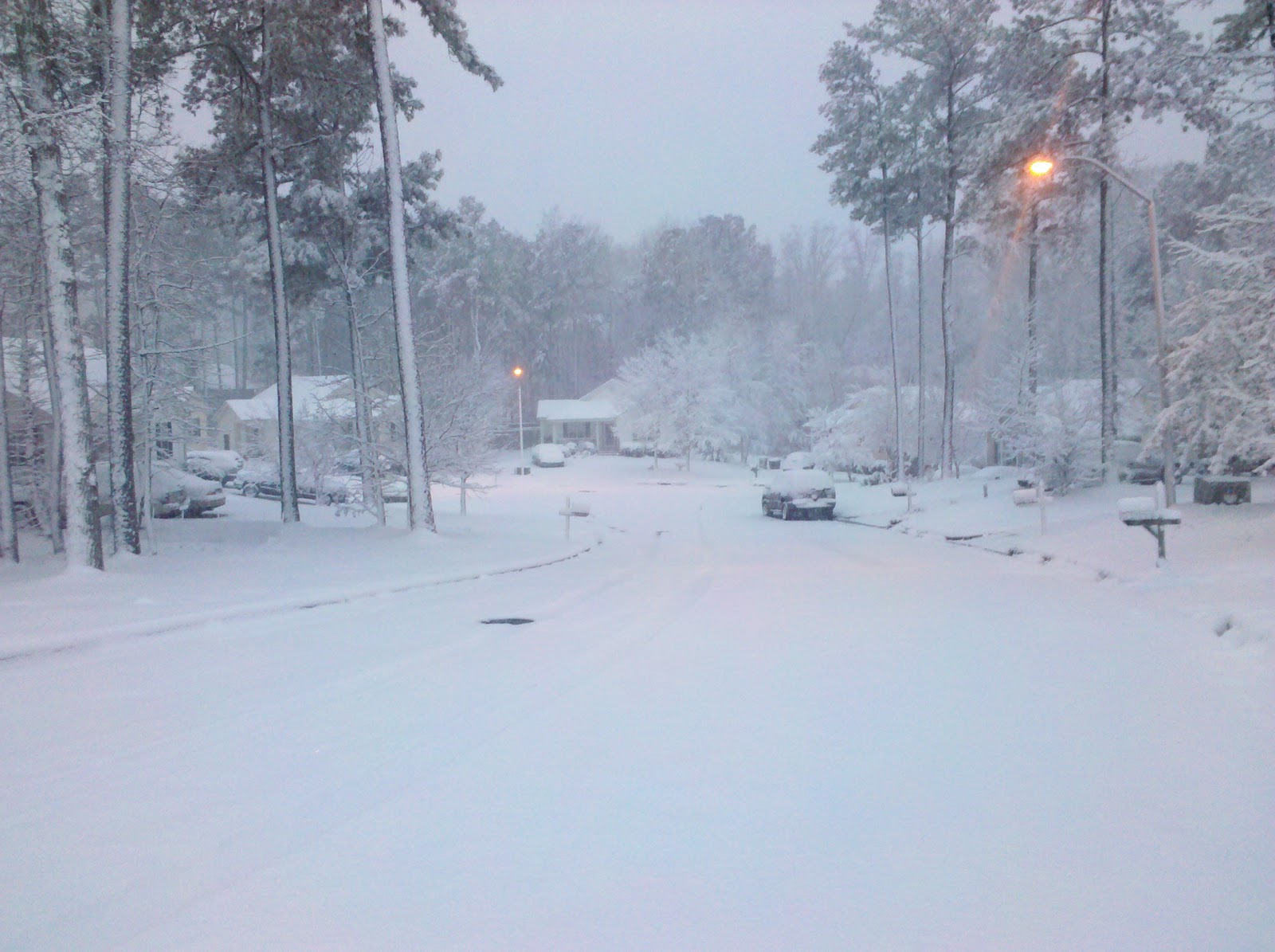 Southern Snow An NC Gun Blog