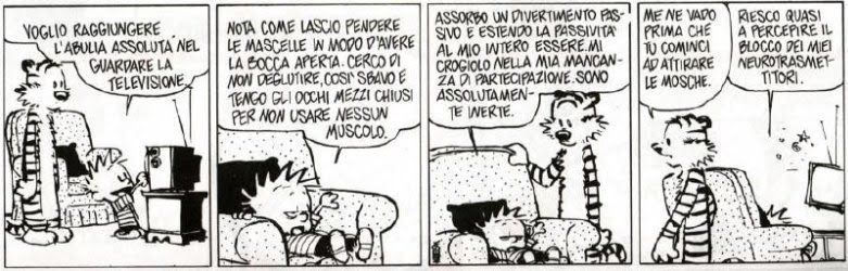 [2457459586_2acd9ec72f_o.jpg]