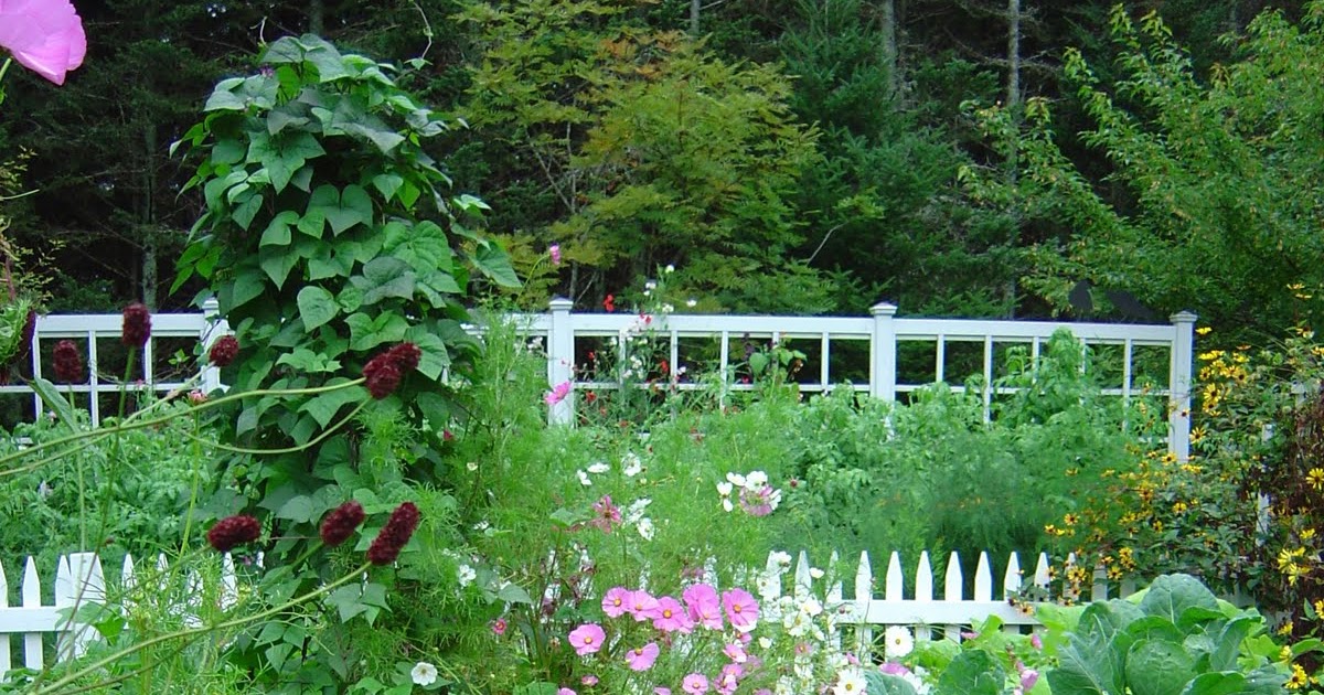 Gardeningbren in Nova Scotia Inside the Vegetable Garden What Can