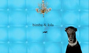 [galgo.bmp]