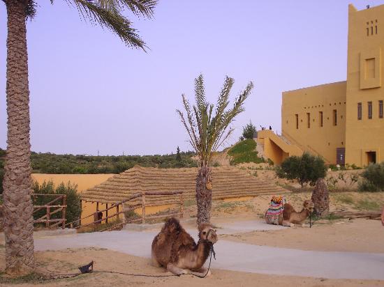 [soiree-alzahra-4.jpg]