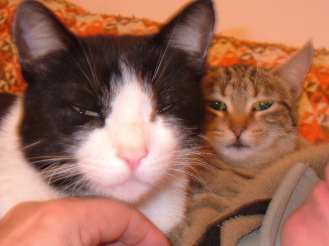 [2007_0222Image0063.JPG]