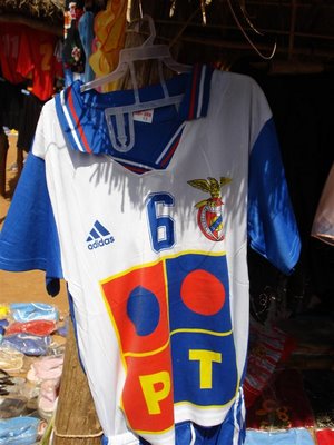 [DSC00849+(Large).JPG]