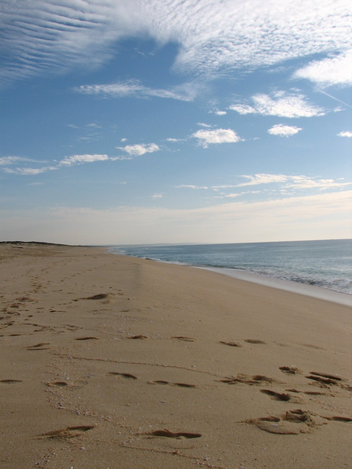 [IMG_0990.JPG]