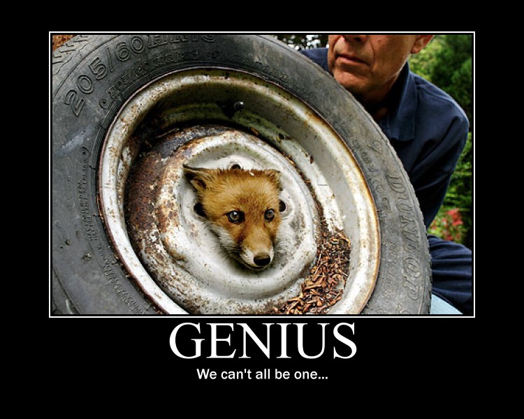 MOTIVATIONAL POSTERS: THE BEST motivation wallpapers. MOTIVATIONAL POSTERS: THE BEST