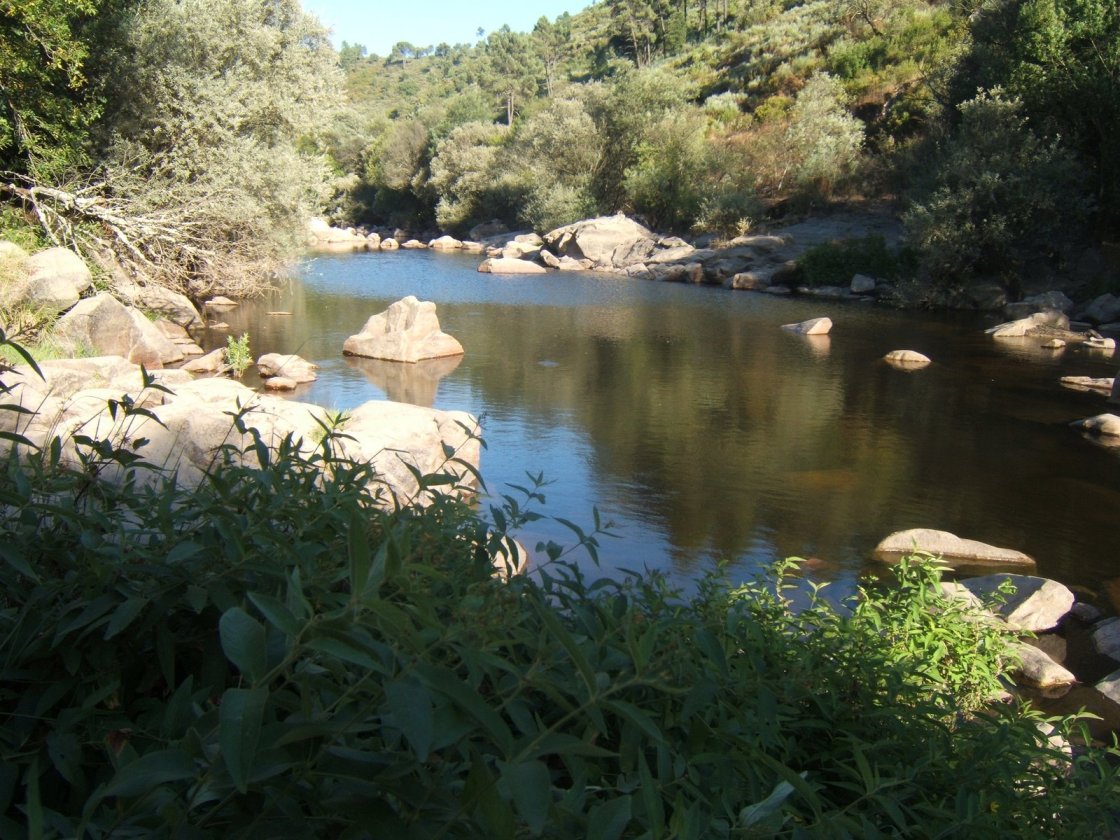 [Mondego+em.JPG]