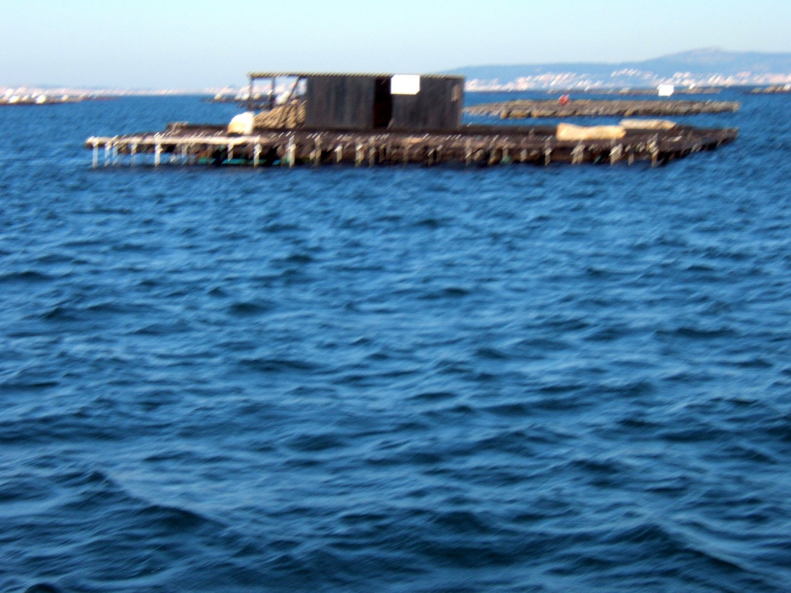 [DSCF4086.JPG]