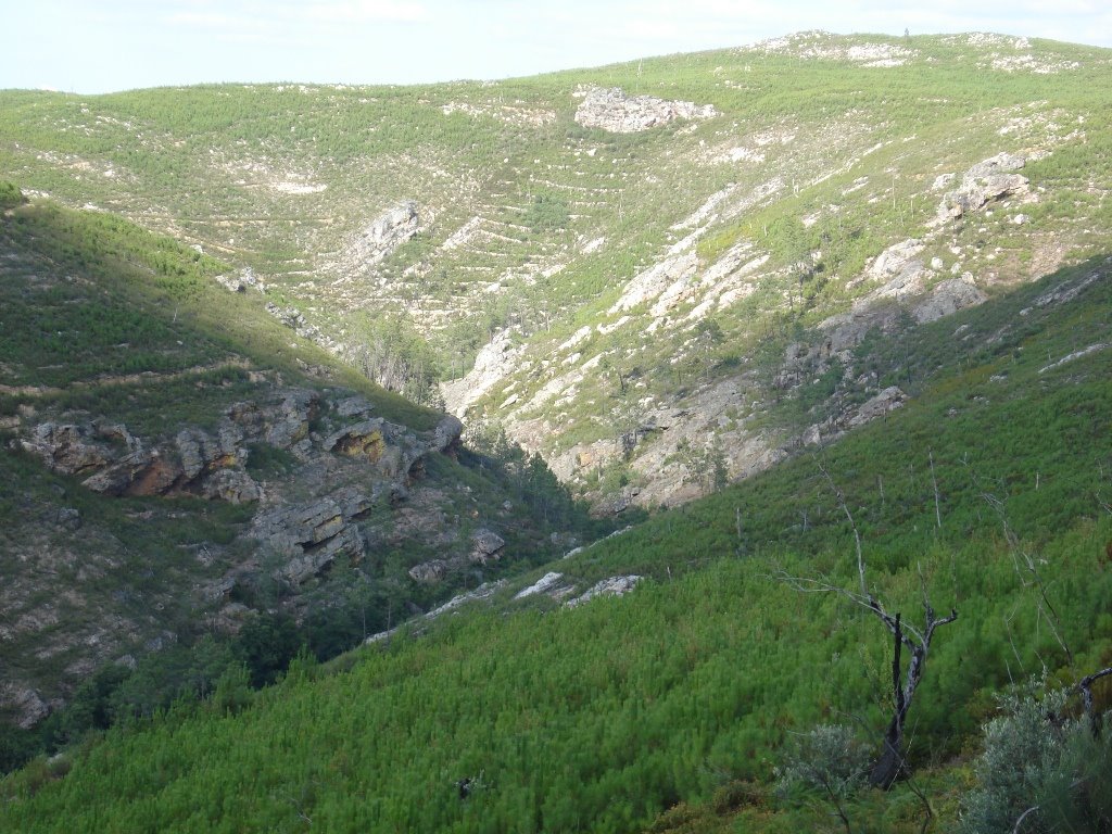 [DSC02305.JPG]