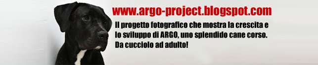 argo-project