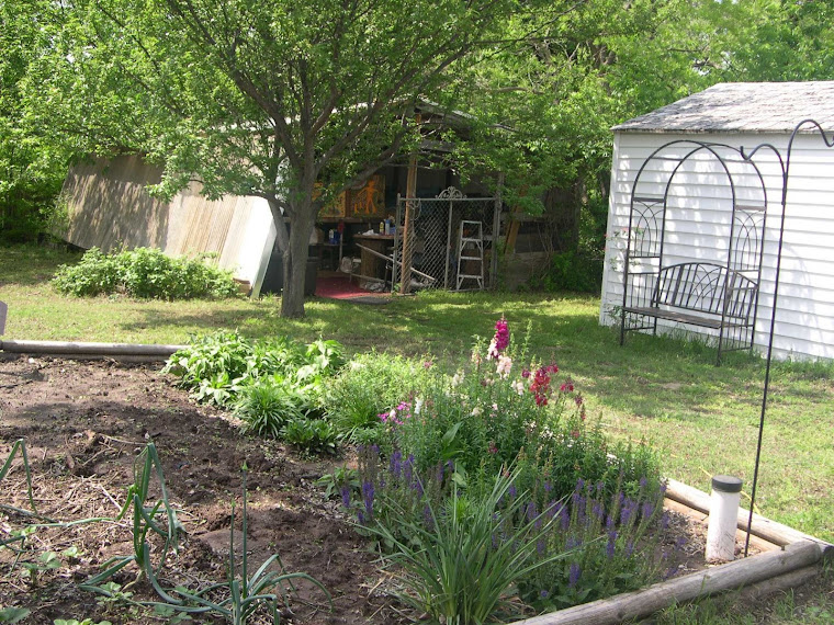 Backyard with new Honeysuckle Chair