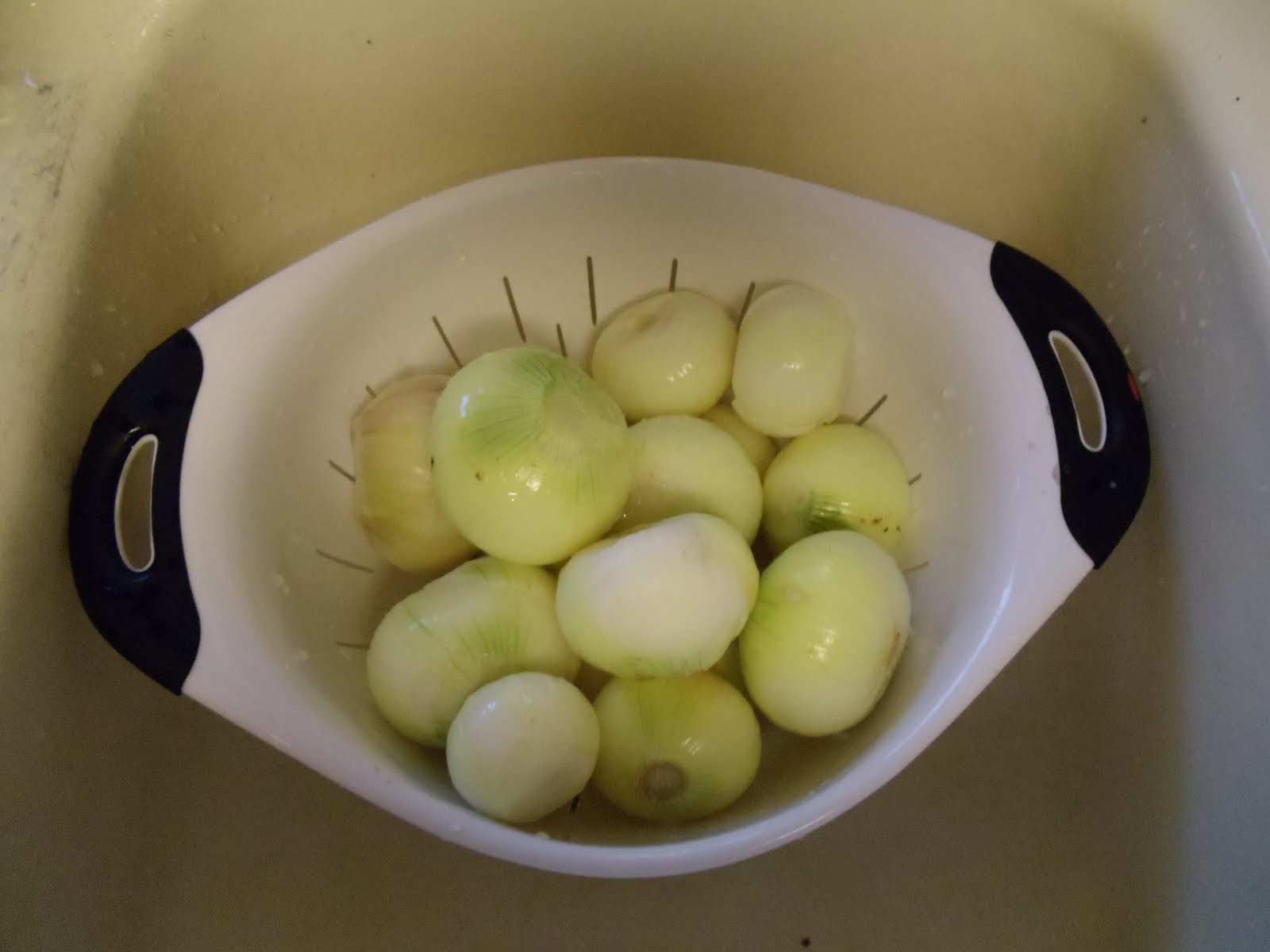 Learning The Frugal Life Freezing Onions