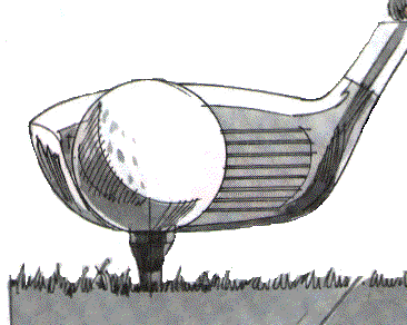 [golf.gif]