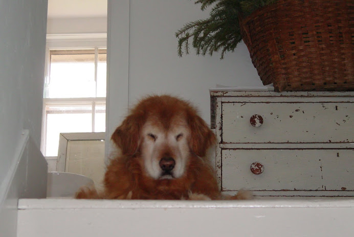 PEAK A BOO, BOO BOO!