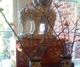 Blog Of An Ancient Gardener Deer Country Flowering Quince A