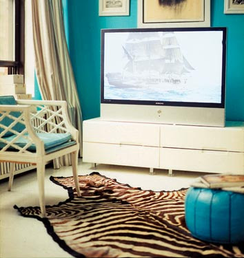 http://2.bp.blogspot.com/_4wOiQmrRymE/Sg1fSphgf7I/AAAAAAAADl8/_RyHTWQvnt8/s400/gasl_zebra_rug_10-1.jpg
