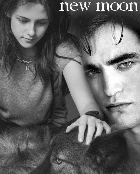 The Twilight Saga New Moon The Twilight Saga New Moon