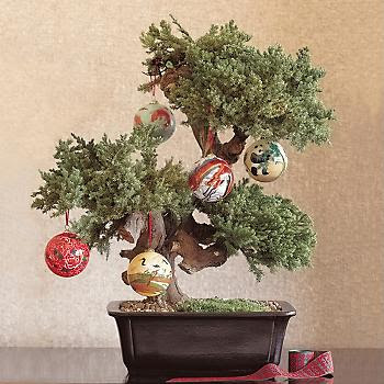 chinoiserie chic a bonsai christmas tree chinoiserie chic a bonsai christmas tree
