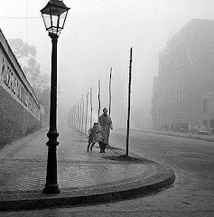 La sombra del viento