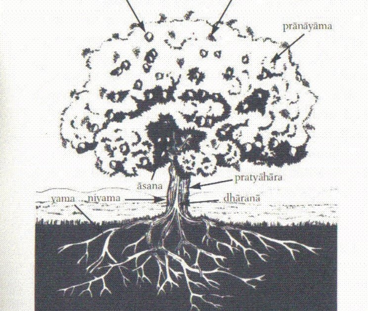 A Árvore do Yoga – Filosofia do Yoga