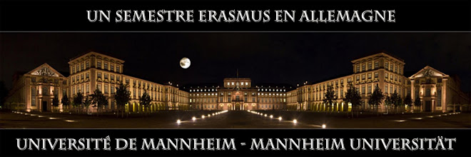 Semestre ERASMUS en Allemagne à Mannheim