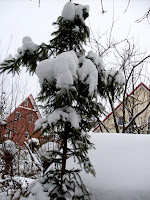 Gartenarbeit Ideen January 2010