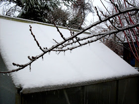 Gartenarbeit Ideen January 2010